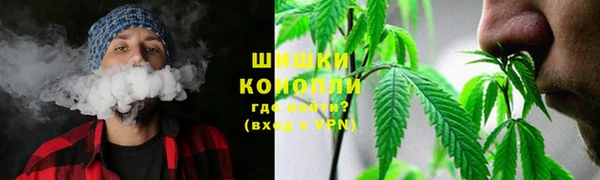 хмурый Семилуки
