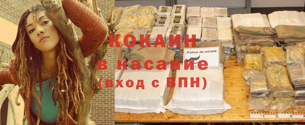 твердый Аркадак